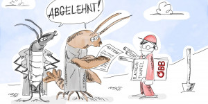 Beitragsbild des Blogbeitrags Der ÖBB-Tunnel-Käfer