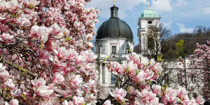 Beitragsbild des Blogbeitrags April – Der Monat des launischen Wetters und der Narren