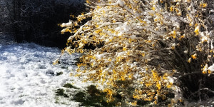 Beitragsbild des Blogbeitrags Ostern ist vorbei und es schneit