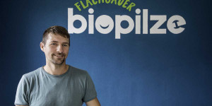 Beitragsbild des Blogbeitrags Haunsberger BIO-Schwammerl