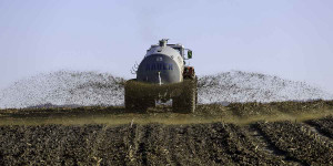 Beitragsbild des Blogbeitrags Landluft, guat schmeckt´s!
