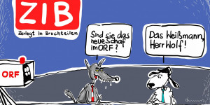 Beitragsbild des Blogbeitrags ORF-Rochaden