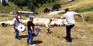 Beitragsbild des Blogbeitrags Kosovo 2021