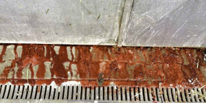 Beitragsbild des Blogbeitrags Saft – Von Pflanzenflüssigkeiten zu Körperflüssigkeiten