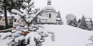 Beitragsbild des Blogbeitrags Weihnachts-Lieder-Baum 