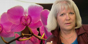 Beitragsbild des Blogbeitrags Gloria Thomas: Verlorene Spuren