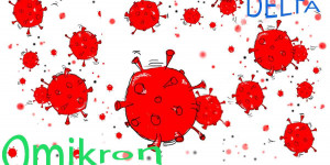 Beitragsbild des Blogbeitrags Das Coronajahr 2021