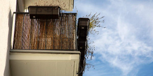 Beitragsbild des Blogbeitrags Blumen in Stuttgart-West