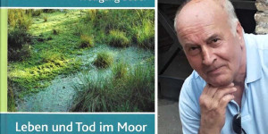 Beitragsbild des Blogbeitrags Lesung in Bürmoos – 28. Mai 2022