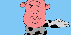 Beitragsbild des Blogbeitrags Ein etwas spezieller Badegast
