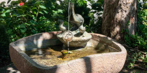 Beitragsbild des Blogbeitrags Der Entenbrunnen | Salzburg
