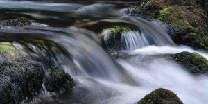 Beitragsbild des Blogbeitrags Wasser – Ein Wort für viele Flüssigkeiten