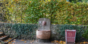 Beitragsbild des Blogbeitrags Der Löwenkopf-Mauerbrunnen | Salzburg