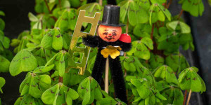 Beitragsbild des Blogbeitrags Prosit 2023!