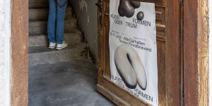 Beitragsbild des Blogbeitrags Bunte Blüten im Verborgenen