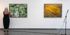 Beitragsbild des Blogbeitrags Domenig und Witzmann im Fotohof