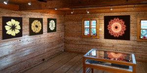Beitragsbild des Blogbeitrags Leo Fellinger: Kaleidoskopien