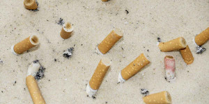 Beitragsbild des Blogbeitrags Nikotin – Ein Diplomat, eine Tabakpflanze und ein Wörterbuch 