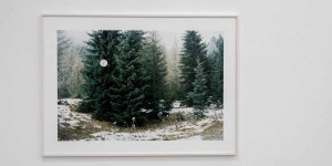Beitragsbild des Blogbeitrags Open Territory