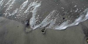 Beitragsbild des Blogbeitrags Gitte Jurssen: Tatort Dangast – Schmutzige Geschäfte