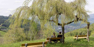 Beitragsbild des Blogbeitrags Halleiner Goldgrube