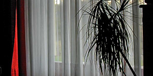 Beitragsbild des Blogbeitrags Gardine – Vom Bettvorhang zur Predigt