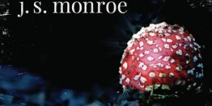 Beitragsbild des Blogbeitrags Finde mich - bevor sie es tun von J.S. Monroe 