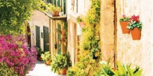 Beitragsbild des Blogbeitrags Die Insel der Zitronenblüten von Cristina Campos 