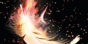 Beitragsbild des Blogbeitrags Flammendes Land von Lauren DeStefano 