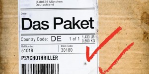 Beitragsbild des Blogbeitrags Das Paket von Sebastian Fitzek 