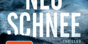 Beitragsbild des Blogbeitrags Neuschnee von Lucy Foley
