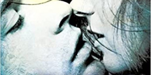 Beitragsbild des Blogbeitrags Blicke nicht zurück von Shannon K. Butcher