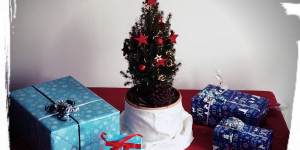 Beitragsbild des Blogbeitrags Frohe Weihnachten