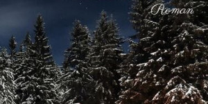 Beitragsbild des Blogbeitrags Polarnächte von Jona Dreyer
