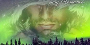 Beitragsbild des Blogbeitrags Polarlichter von Jona Dreyer