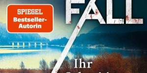 Beitragsbild des Blogbeitrags Grenzfall - Ihr Schrei in der Nacht von Anna Schneider