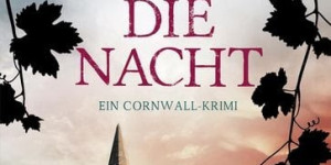 Beitragsbild des Blogbeitrags Je länger die Nacht von Mary Ann Fox