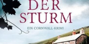 Beitragsbild des Blogbeitrags Je lauter der Sturm von Mary Ann Fox 