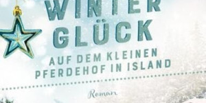 Beitragsbild des Blogbeitrags Winterglück auf dem kleinen Pferdehof in Island von Christiane Lind