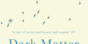 Beitragsbild des Blogbeitrags Dark Matter - A Ghost Story von Michelle Paver
