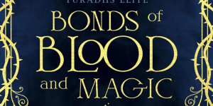 Beitragsbild des Blogbeitrags Bonds of Blood and Magic von June winter und Gina Mecke