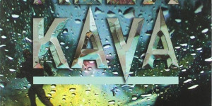 Beitragsbild des Blogbeitrags Eiskalter Wahnsinn von Alex Kava