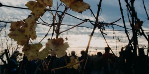 Beitragsbild des Blogbeitrags Herbsttage – Entspannung für Körper und Seele 
