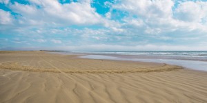 Beitragsbild des Blogbeitrags Islay – die Highlights der schottischen Hybrideninsel 