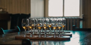Beitragsbild des Blogbeitrags Sheep & Whisky – Top Islay & Jura Distillery Tour 