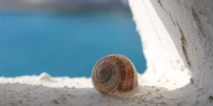 Beitragsbild des Blogbeitrags INDIVIDUELL REISEN – WIE ES DEIN MINDSET VERÄNDERT
