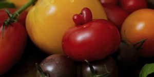 Beitragsbild des Blogbeitrags Sommerliebe: Confettura di pomodori
