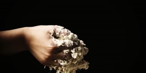 Beitragsbild des Blogbeitrags Der Zauber sizilianischer Brioches 