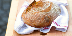 Beitragsbild des Blogbeitrags Vom Brot zum Bier – Alles zu seiner Zeit