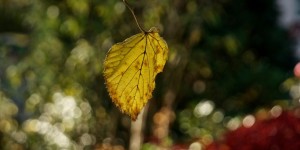 Beitragsbild des Blogbeitrags Das letzte Mal 